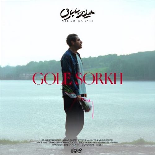 دانلود آهنگ میلاد بابایی گل سرخ دانلود آهنگ میلاد بابایی گل سرخ