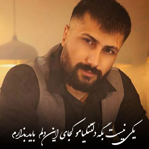 دانلود آهنگ یکی نیست که بگه دلتنگیامو کجای این دلم باید بزارم