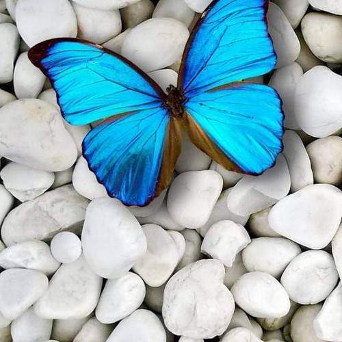 دانلود آهنگ غمتو نبینم قناری ریمیکس