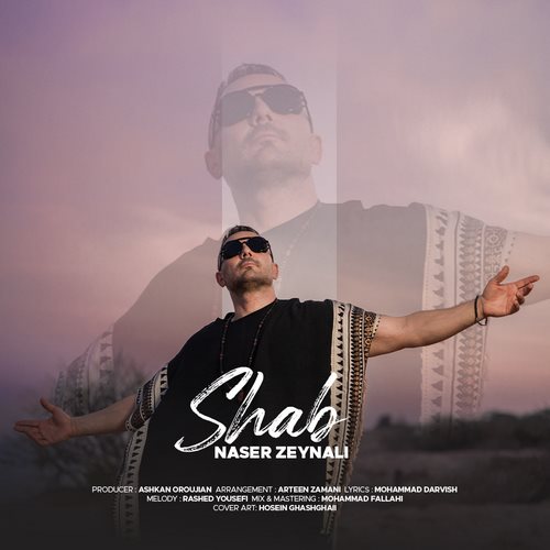  دانلود آهنگ ناصر زینعلی به نام شب