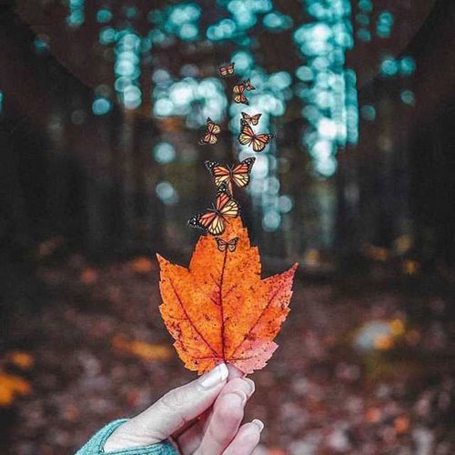 دانلود آهنگ عاشق چشم خمارتم