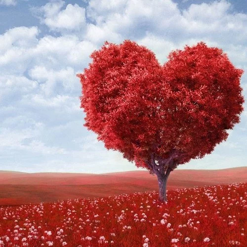 دانلود آهنگ حالا هرجا میشینی پشت سرم بد میگی