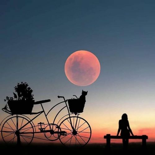 دانلود ریمیکس مثل لالایی میمونه