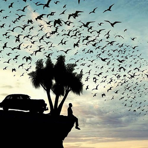 دانلود آهنگ هه هه هه صدام گرفت اثرات میپره ریمیکس دانلود آهنگ هه هه هه صدام گرفت اثرات میپره ریمیکس