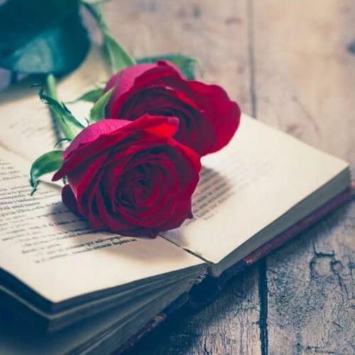 دانلود آهنگ برمیدارن فاز کل کل بام