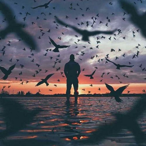 دانلود آهنگ زاخار پول تو جیبش فراوونه