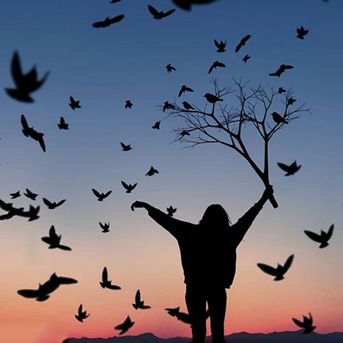 دانلود آهنگ شانه رم میکند از فرط پریشانی ما