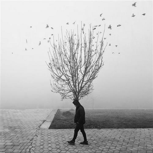 دانلود آهنگ فاطمه سلطان نمیری الهی خیر ببینی دانلود آهنگ فاطمه سلطان نمیری الهی خیر ببینی