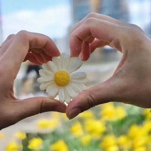 دانلود آهنگ ساکتم پر از غرور