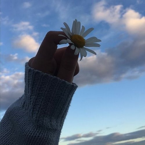 دانلود آهنگ دلم میخواد بیام خونه ولی راهی نی دانلود آهنگ دلم میخواد بیام خونه ولی راهی نی