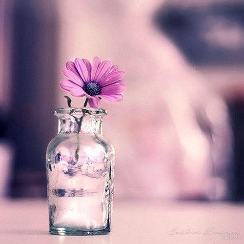 دانلود آهنگ kurdai music kurmanci here gule دانلود آهنگ kurdai music kurmanci here gule