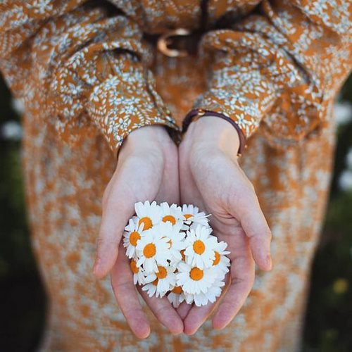 دانلود آهنگ روی ایوون توی خونه پرستو زده لونه ریمیکس