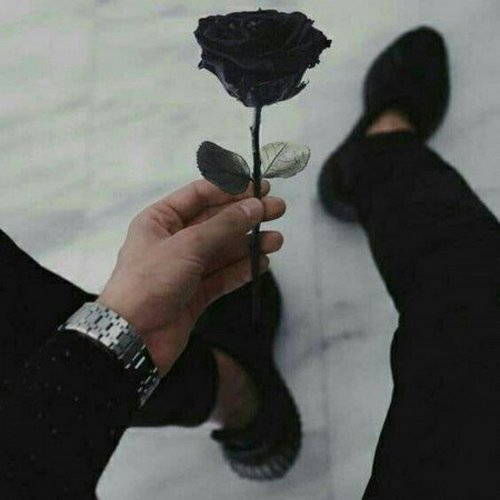 دانلود آهنگ تو چرا چون میکنی قصد جانم میکنی