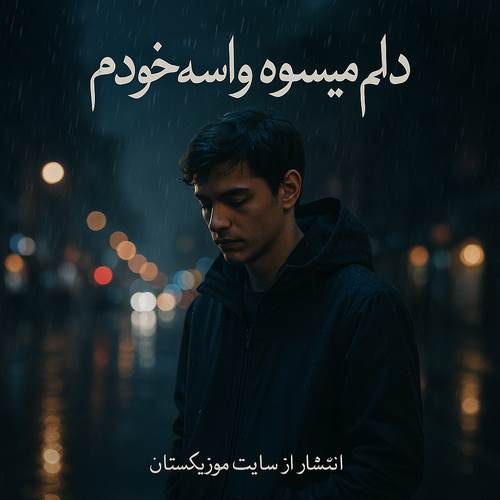 دانلود آهنگ دلم میسوزه واسه خودم هر شب
