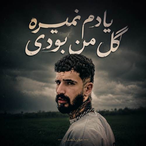 دانلود آهنگ یادم نمیره گل من بودی یه دفعه چیدنت