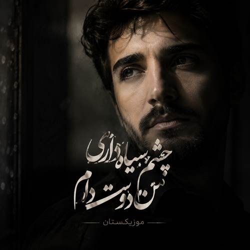 دانلود آهنگ چشم سیاه داری من دوست دارم