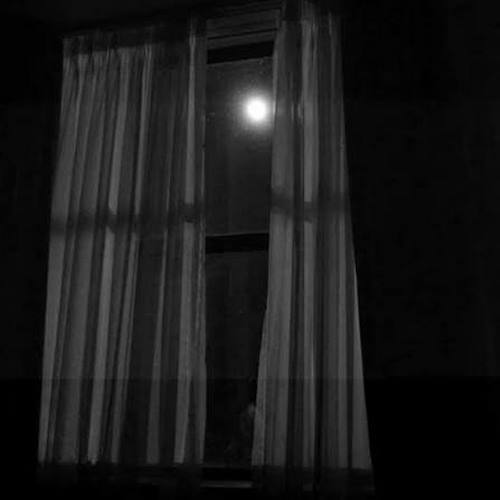 دانلود آهنگ کسی نگات کنه شر میکنم