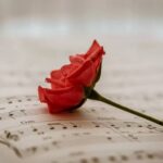 دانلود ریمیکس فارسی غمگین بزار با درد خود بمیرم
