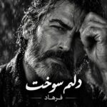 دانلود آهنگ فرهاد دلم سوخت دانلود آهنگ فرهاد دلم سوخت