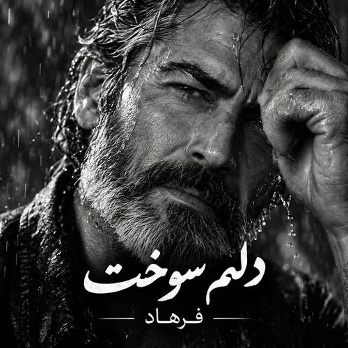 دانلود آهنگ فرهاد دلم سوخت