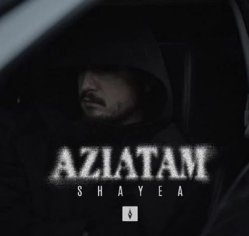 دانلود آهنگ شایع اذیتم